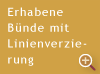 Erhabene Bünde und Linienverzierung am Buchrücken.